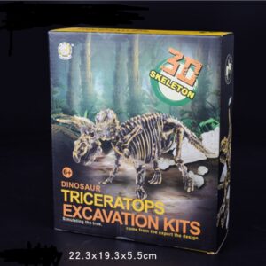 Dinosaur archaeological excavation toys DIY