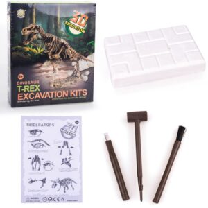 Dinosaur archaeological excavation toys DIY