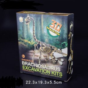 Dinosaur archaeological excavation toys DIY